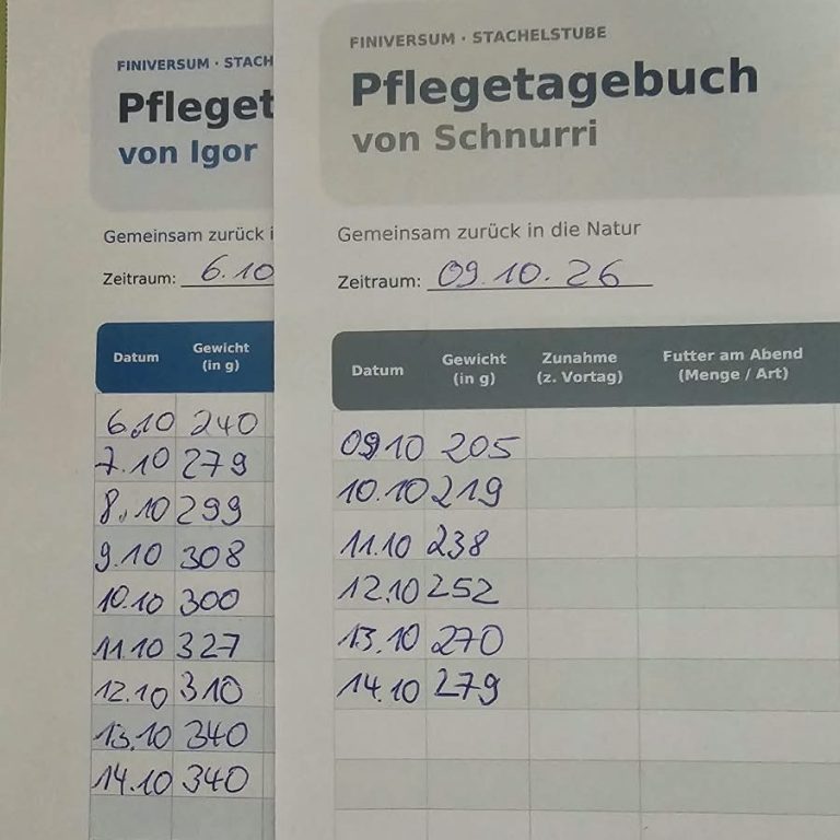 14. Oktober Pflegeprotokoll 14. Oktober Pflegeprotokoll