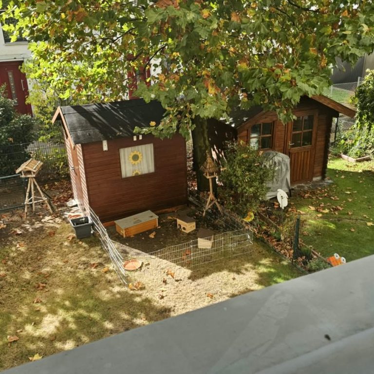 Das Gehege im Garten ist fertíg Das Gehege im Garten ist fertíg