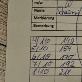 Schnurri Protokoll Schnurri Protokoll