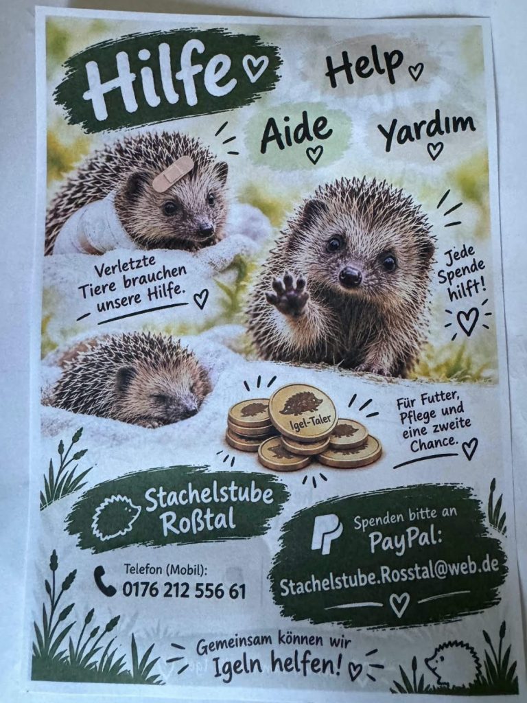 Spendenaufruf Igelhilfe! Spendenaufruf Igelhilfe!