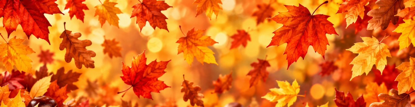 Bunte Herbstlaub Bordüre Bunte Herbstlaub Bordüre