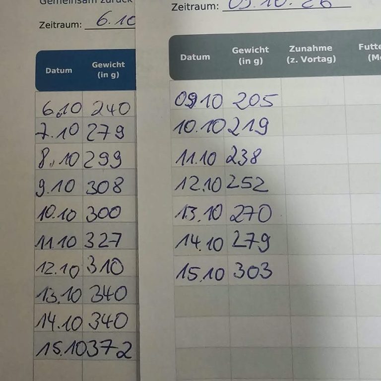15. Oktober Pflegeprotokoll 15. Oktober Pflegeprotokoll