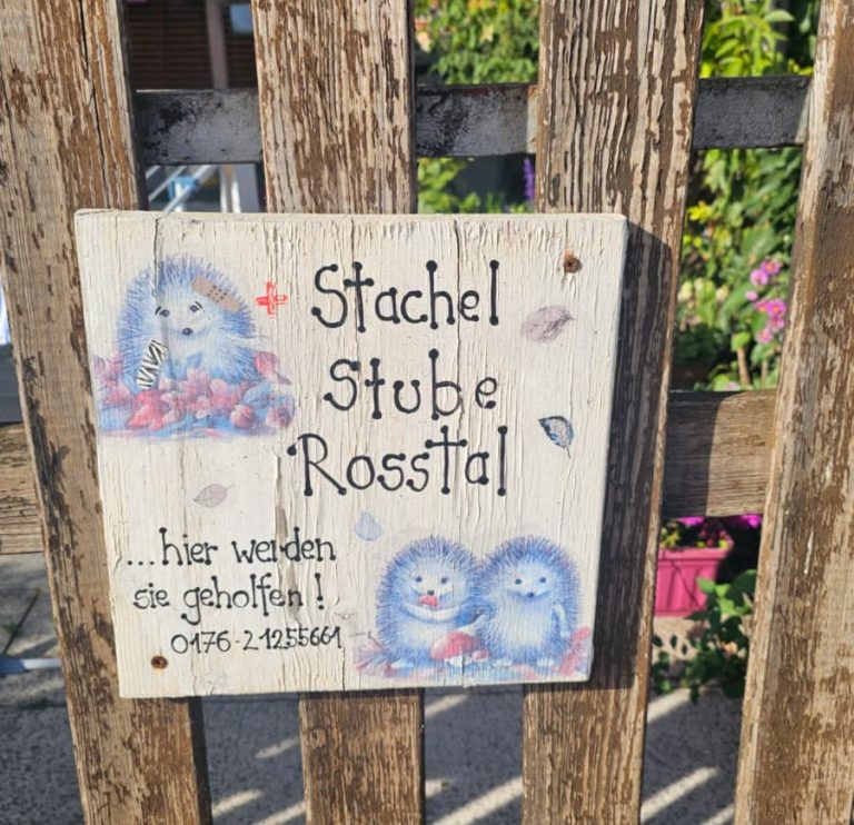 Stachelstube Roßtal Stachelstube Roßtal