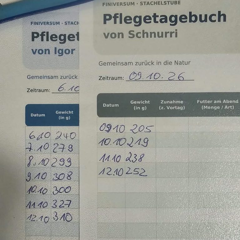 12. Oktober Pflegeprotokoll 12. Oktober Pflegeprotokoll