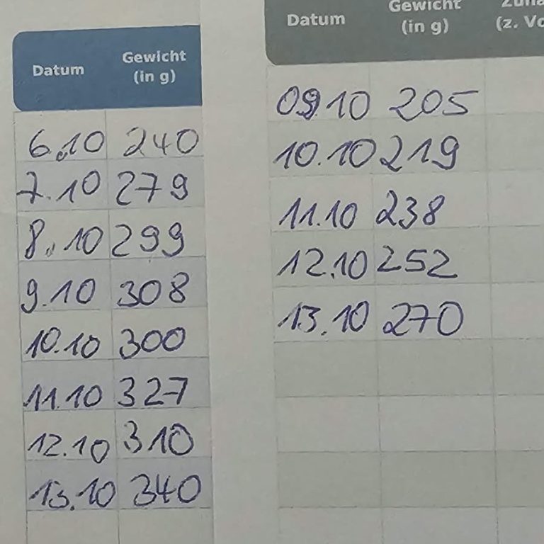 13. Oktober Pflegeprotokoll 13. Oktober Pflegeprotokoll