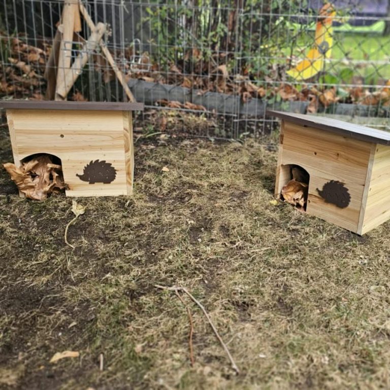 Igelhäuschen stehen im Garten Igelhäuschen stehen im Garten